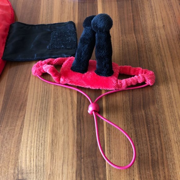 Target Ladybug Dog Costume Size Large 18 inch Halloween 2 Piece Lady Bug - Picture 11 of 16